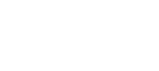 $60 (approx. €53/£46)
plus delivery